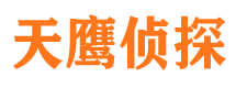 市中区侦探公司